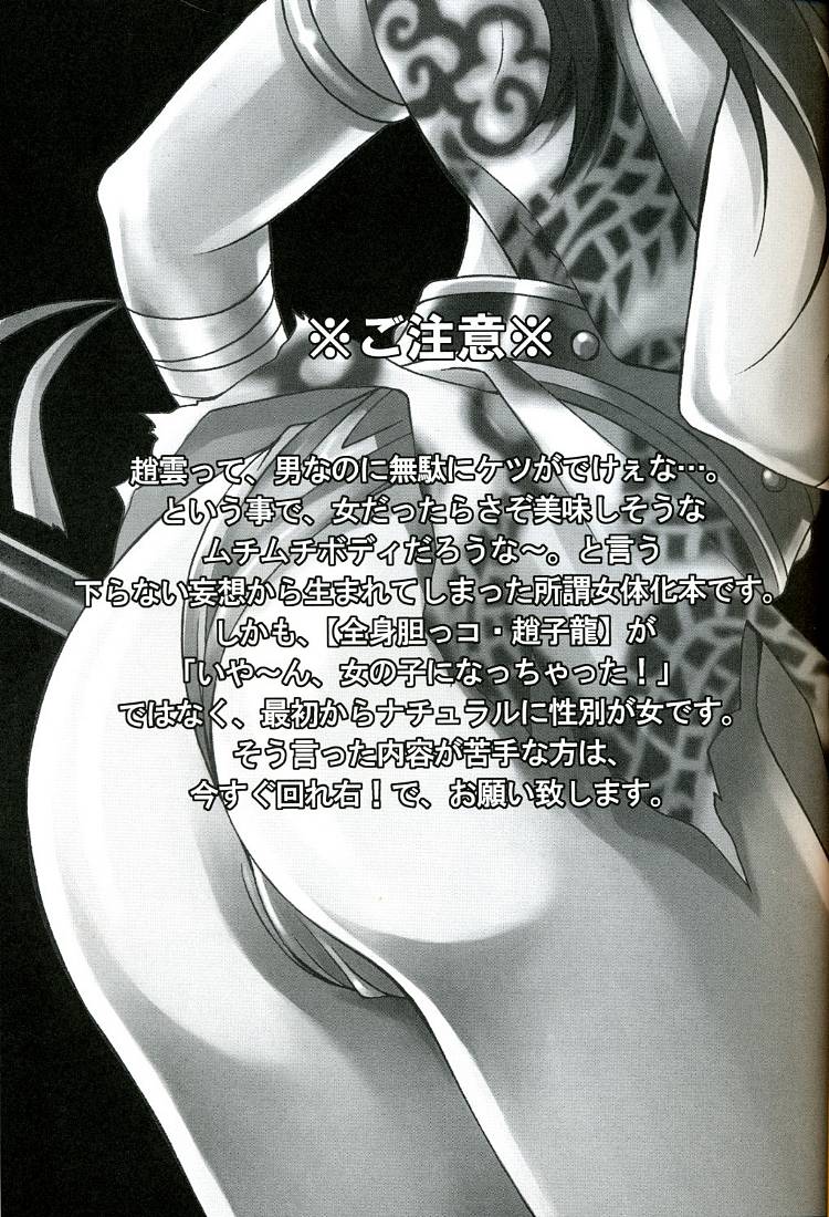 Seiryuu Ranbu page 3 full