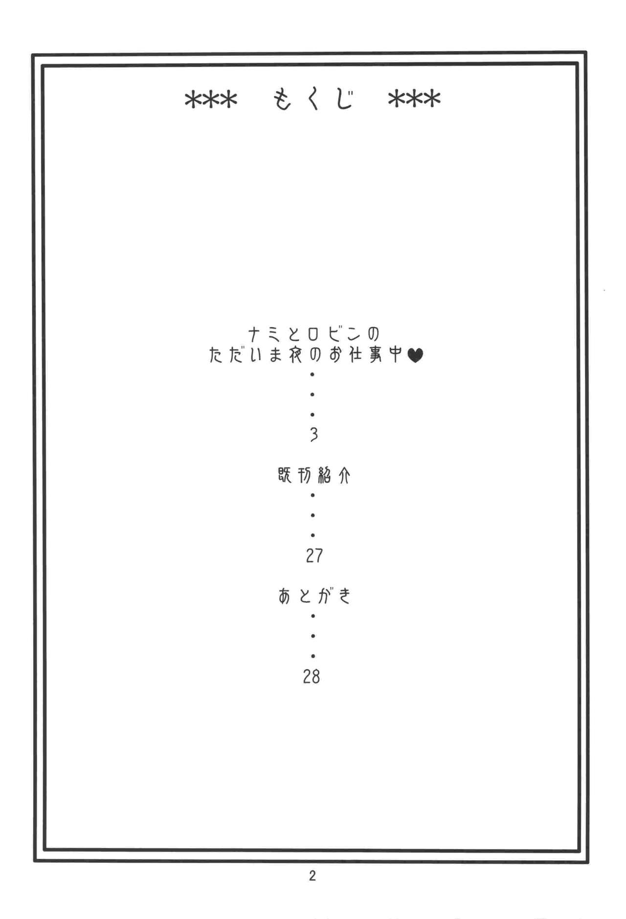 Nami no Koukai Nisshi EX NamiRobi 2 page 3 full