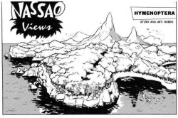 Nassao Views - Hymenoptera