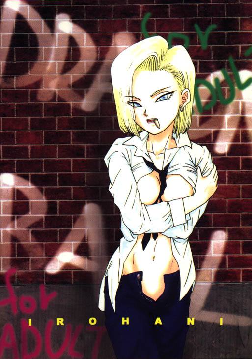 Dragonball Hentai Gallery page 2 full