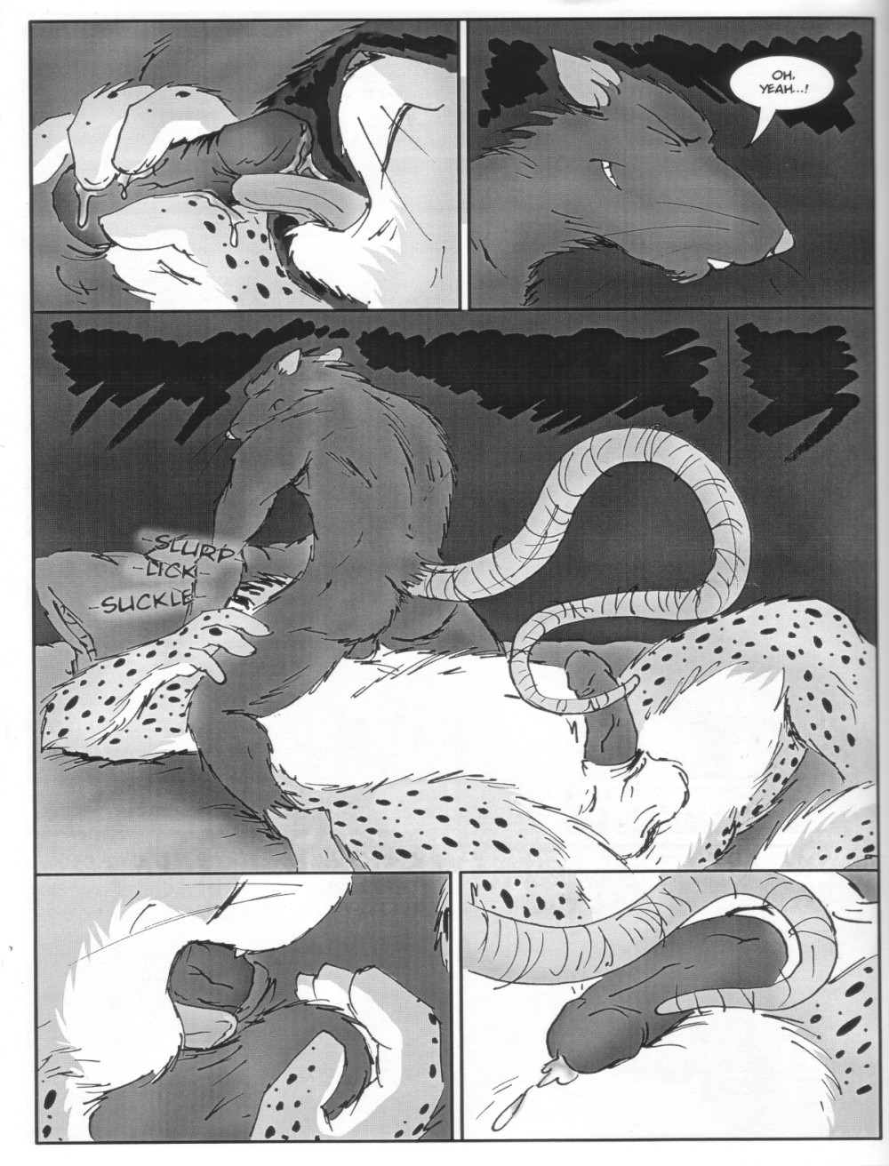 Furnation #5 page 8 full
