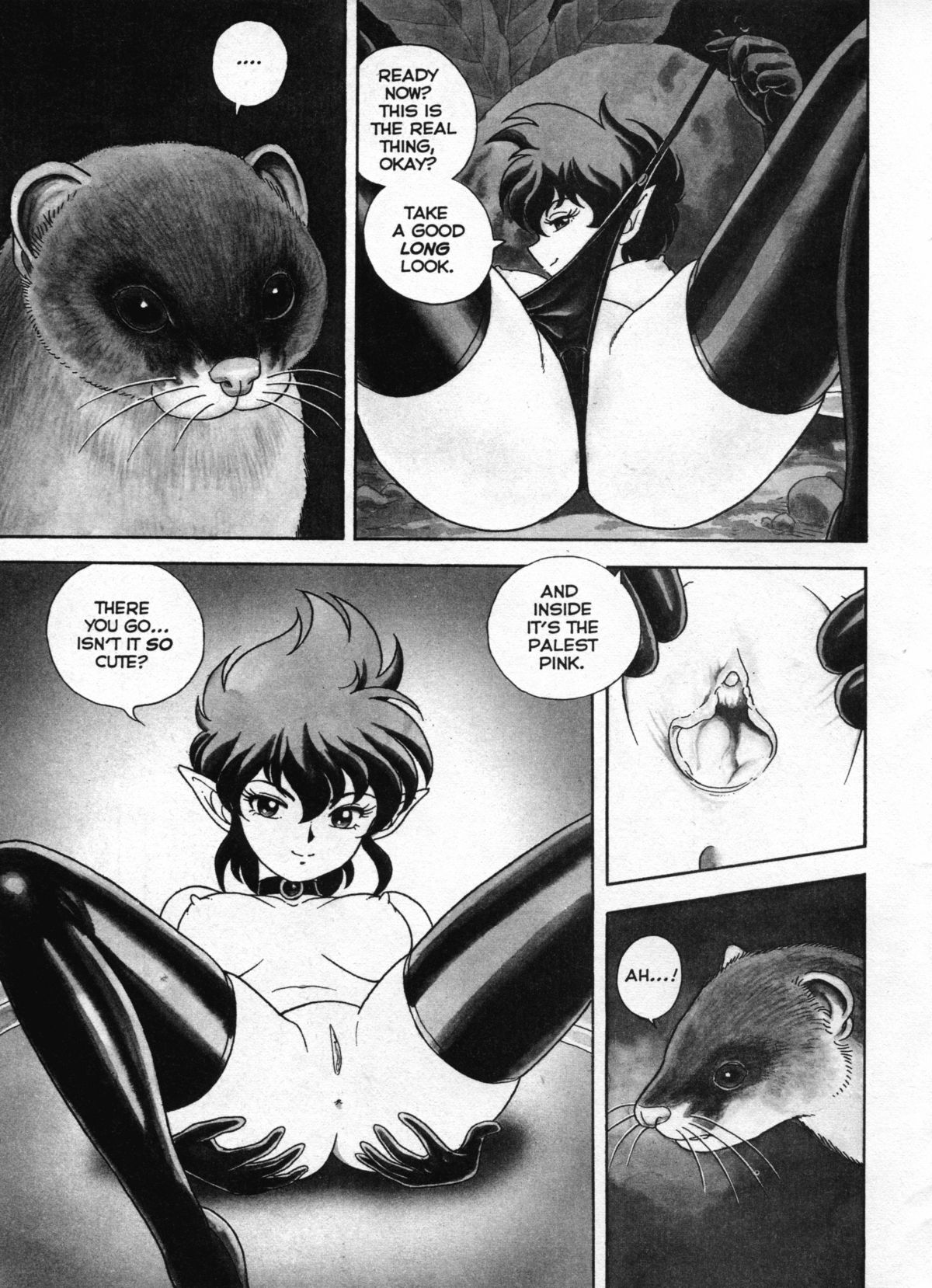 The New Bondage Fairies Issue 15 page 4 full