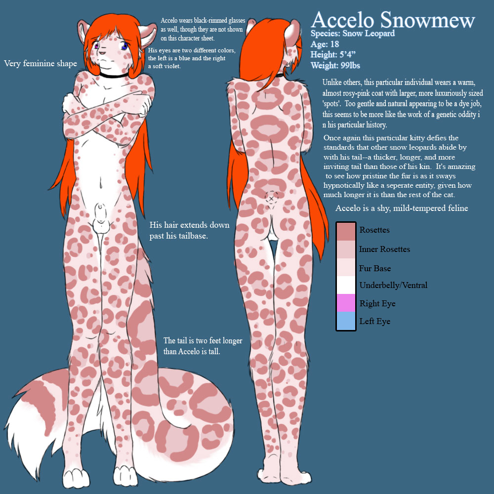 Accelo Snowmew The Snow Leopard page 1 full