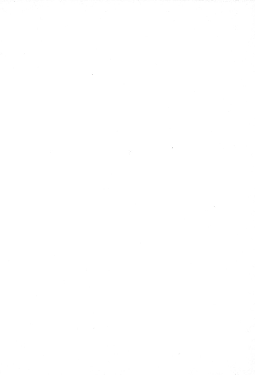 ファーレンの秘宝2 ～オルランドの伝説～ page 9 full