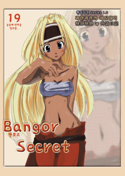 Bangor Secret