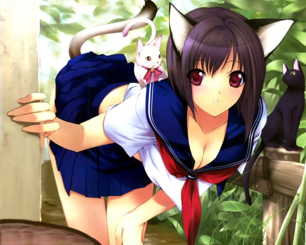 Various Ecchi Images 13 page 9 full