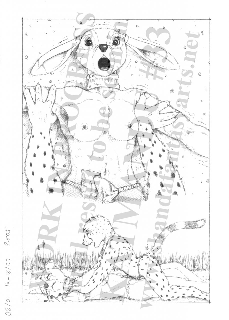 Predator & Prey page 4 full