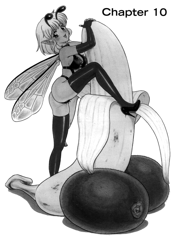 Bondage Fairies Extreme 10 page 3 full