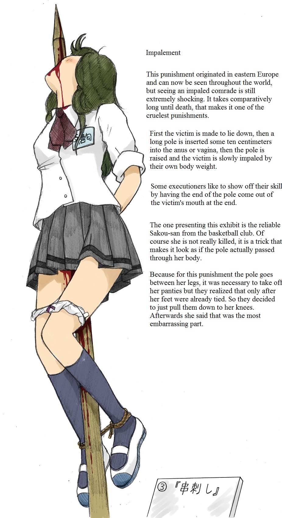 被虐的学园祭2010~中文~ page 2 full