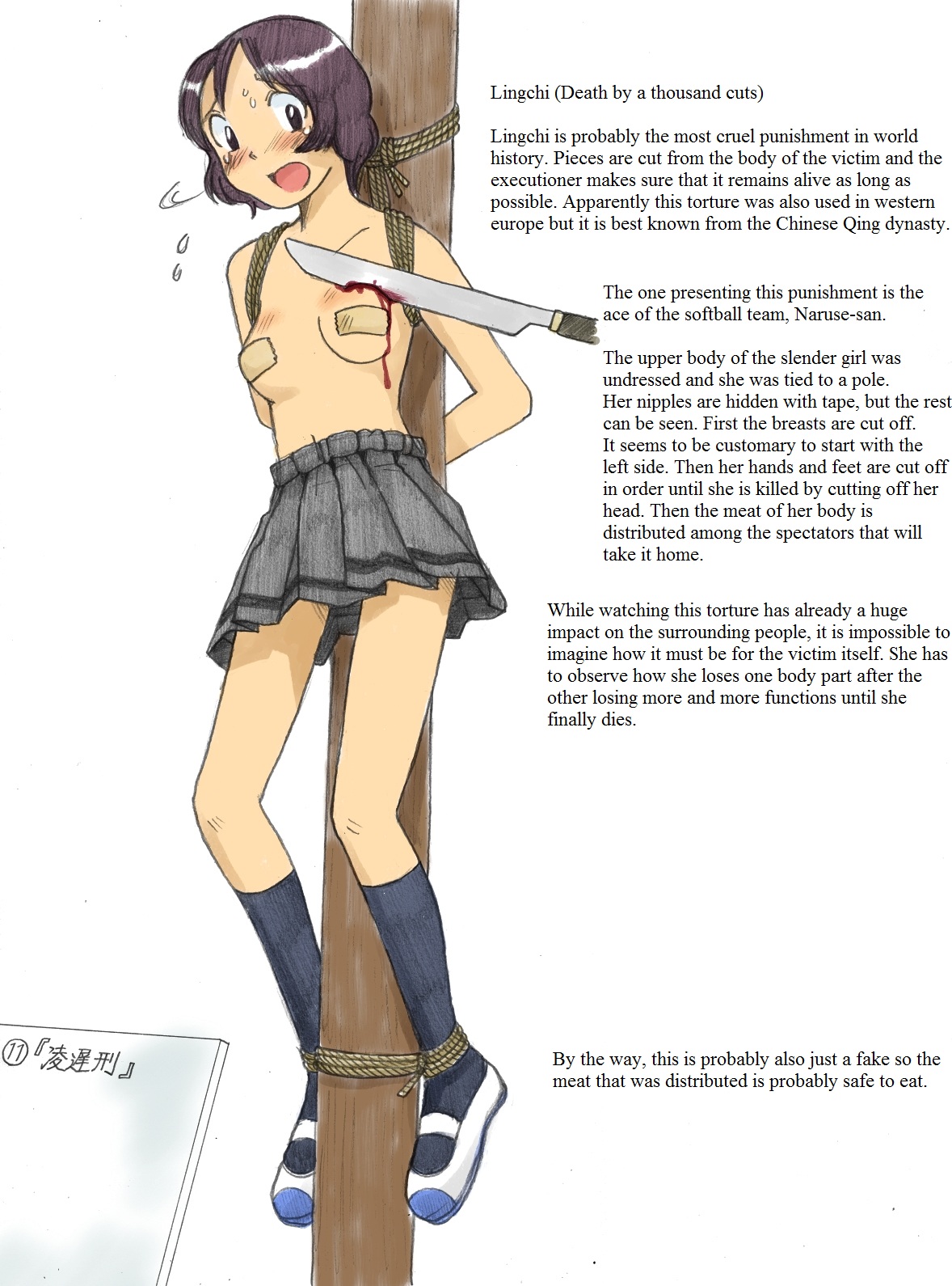 被虐的学园祭2010~中文~ page 5 full