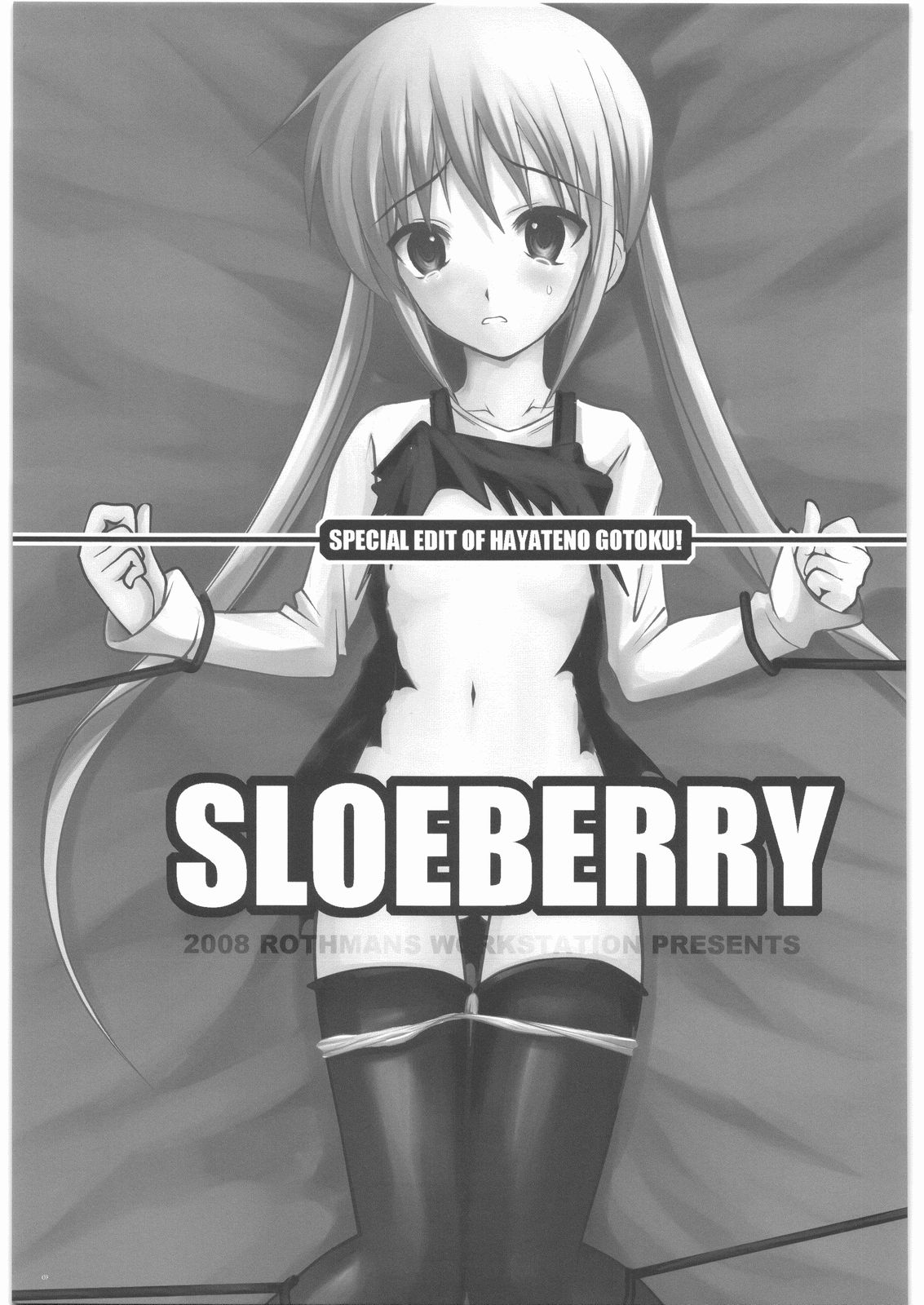 SLOEBERRY page 2 full