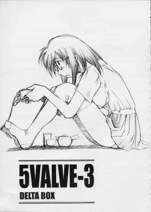 5VALVE-3 page 2 full