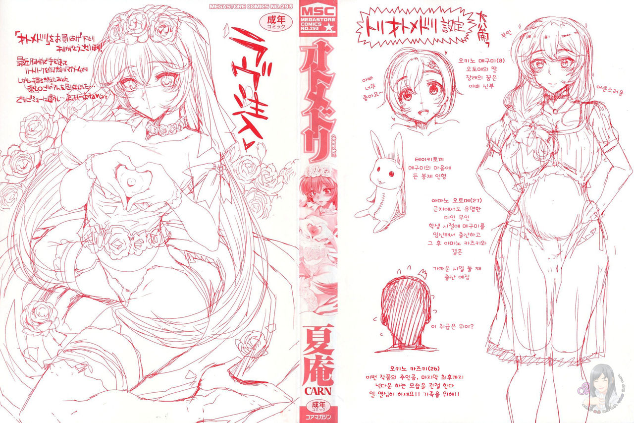 Otomedori page 3 full