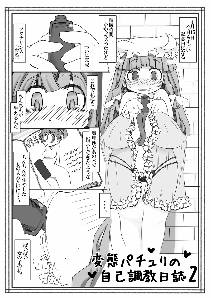 Hentai Patchouli no Jiko Choukyou Nisshi 2 page 1 full