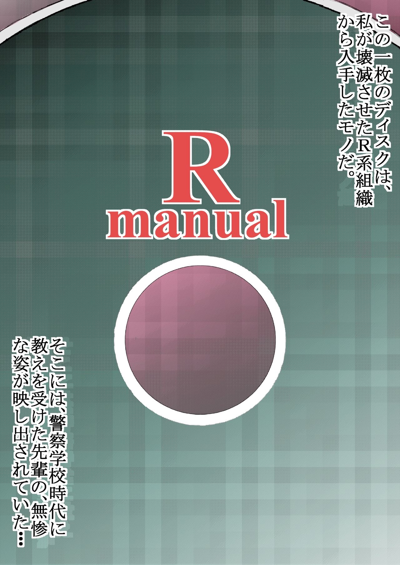 Rmanual R.B補完計画 page 1 full