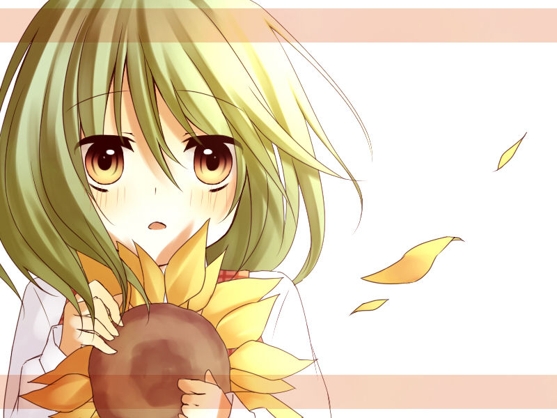 yuuka kazami non-h gallery 2 page 10 full