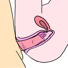 Japanese Sex Essentials page 3 full