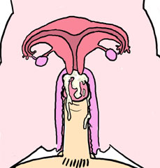 Japanese Sex Essentials page 8 full