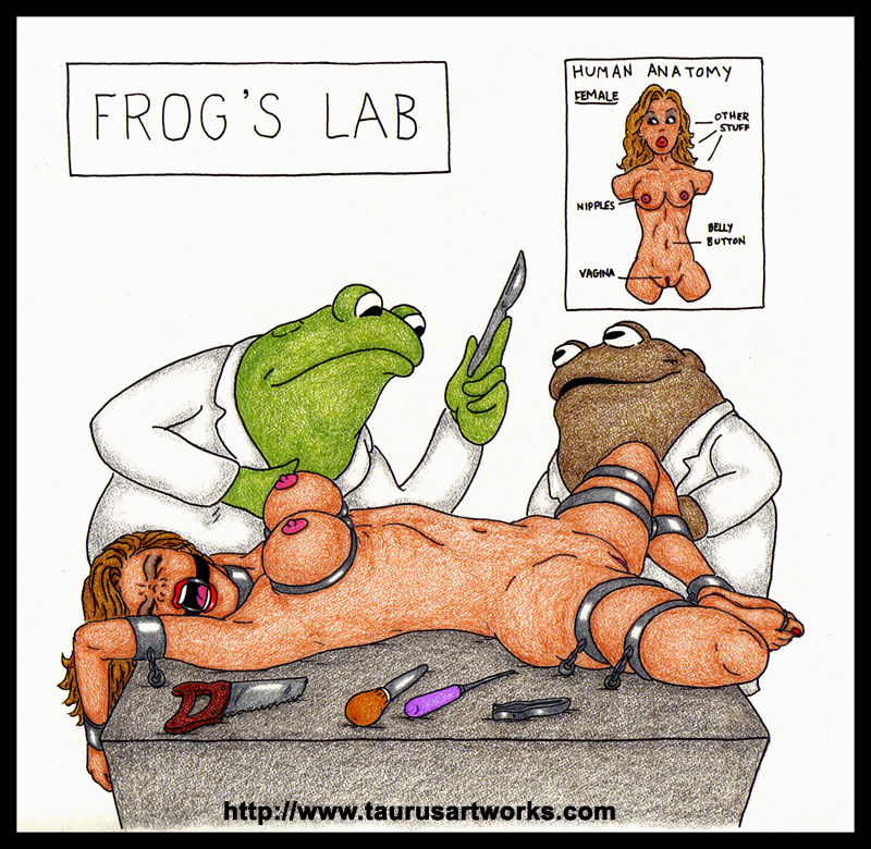 FROG & TOAD page 1 full