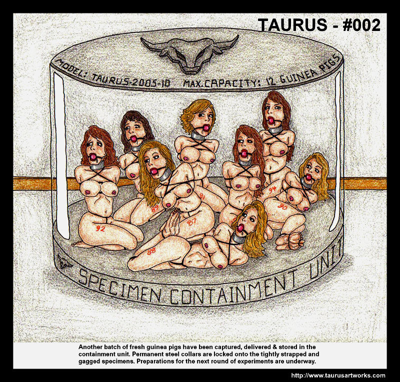 TAURUS INSTITUTE page 4 full