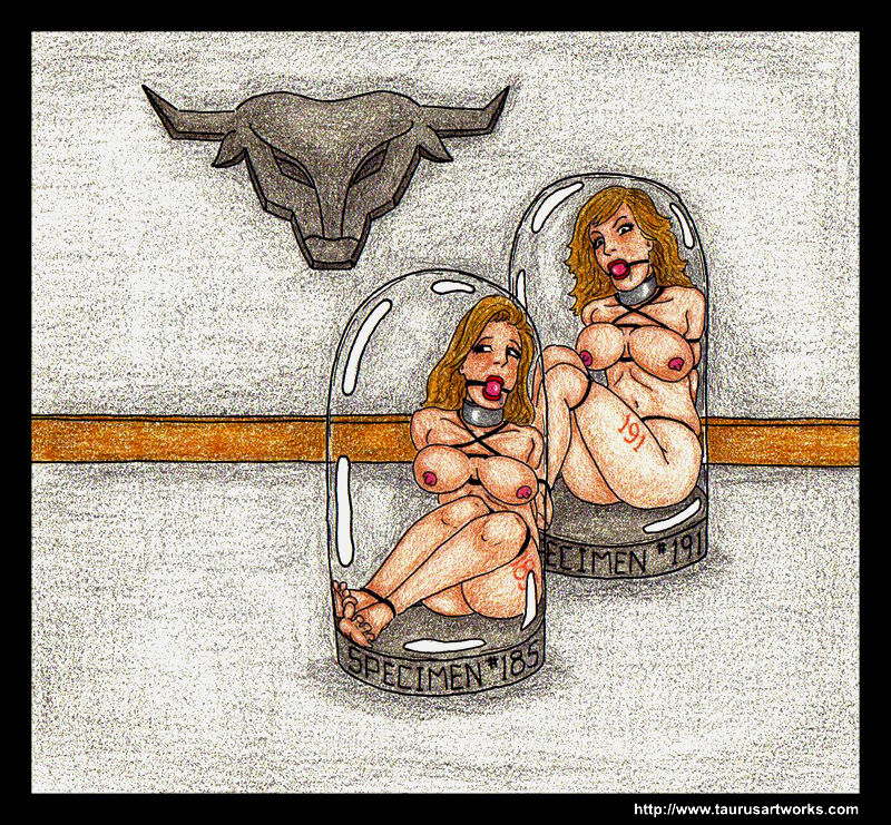 TAURUS INSTITUTE page 7 full