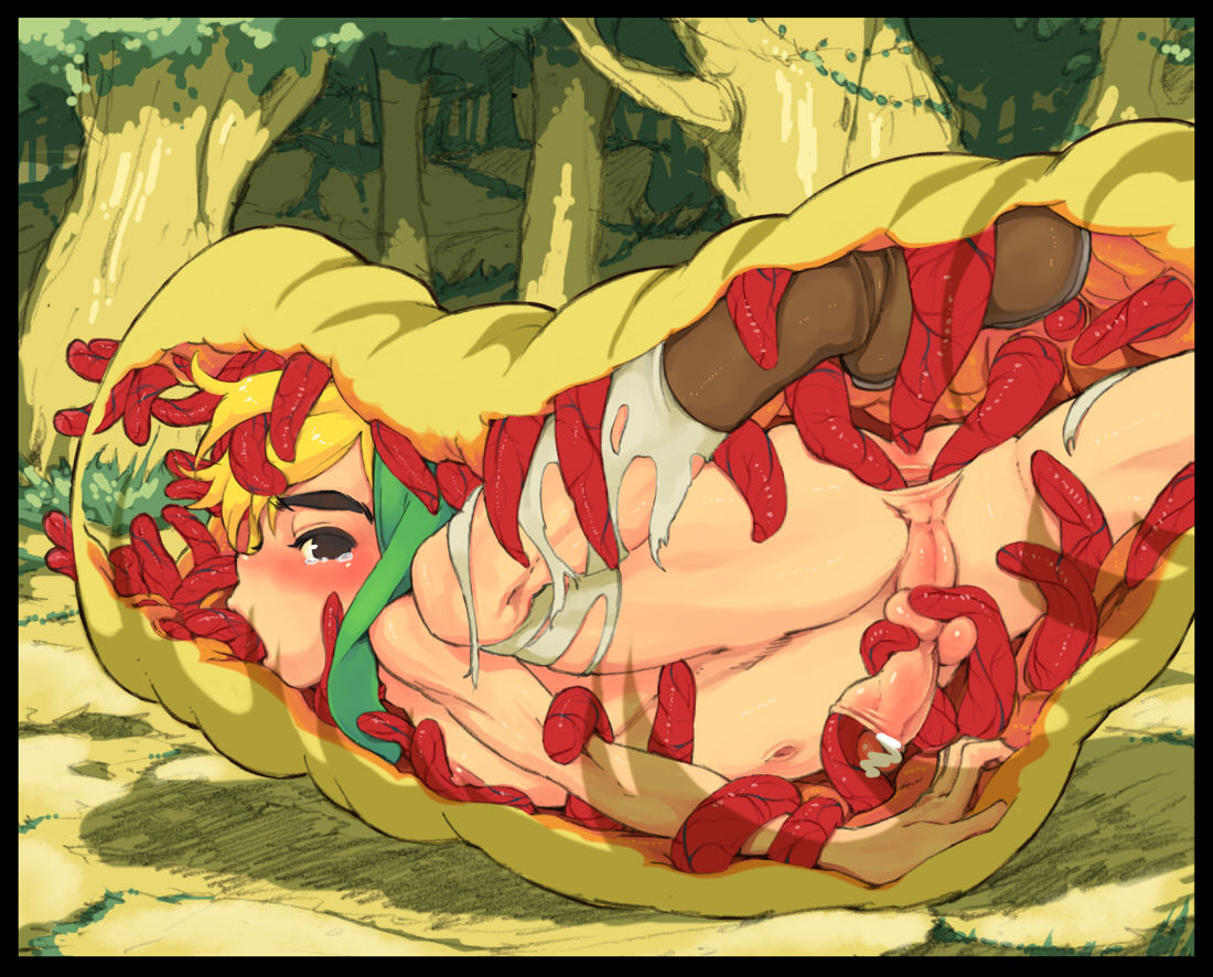 The Legend of Zelda: Link - Yaoi&Monster Set page 3 full