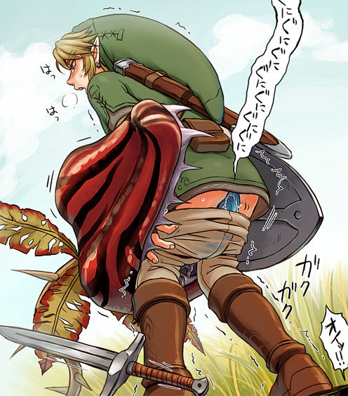 The Legend of Zelda: Link - Yaoi&Monster Set page 5 full