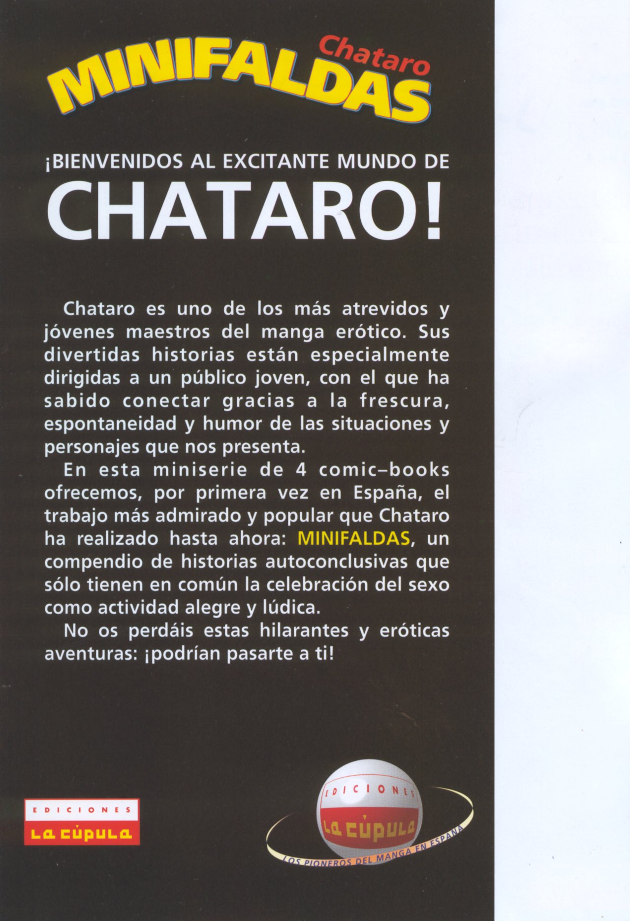 Minifaldas 1 de 4 page 2 full