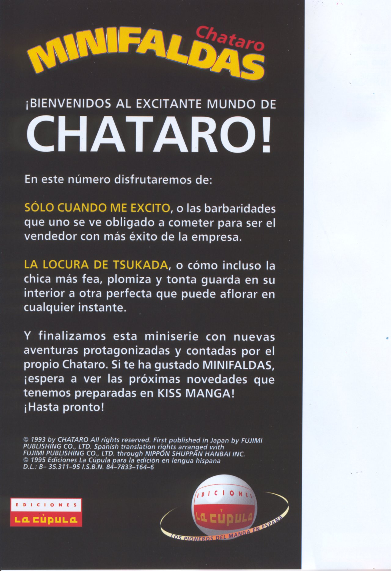 Minifaldas 4 de 4 page 2 full