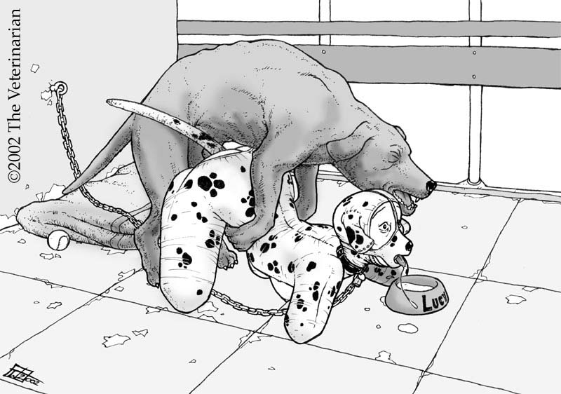 The Veterinarian Petplay page 3 full