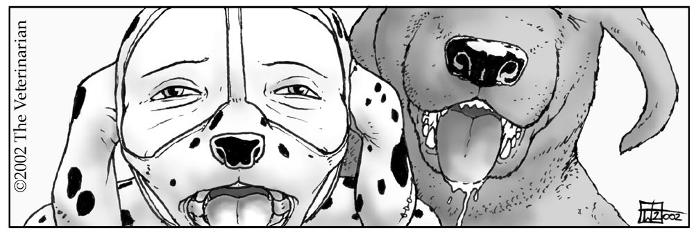 The Veterinarian Petplay page 4 full