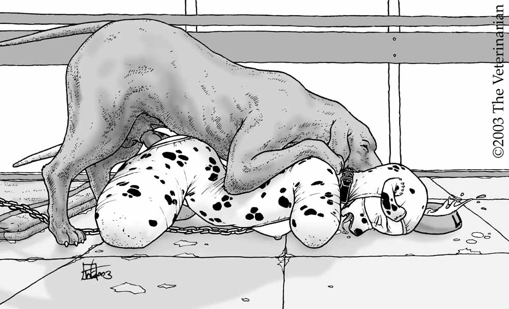 The Veterinarian Petplay page 5 full