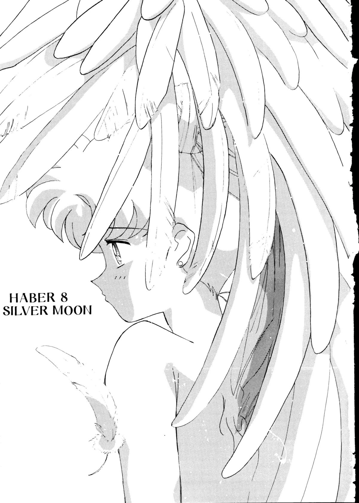 Haber 8 ~Silver Moon~ page 2 full