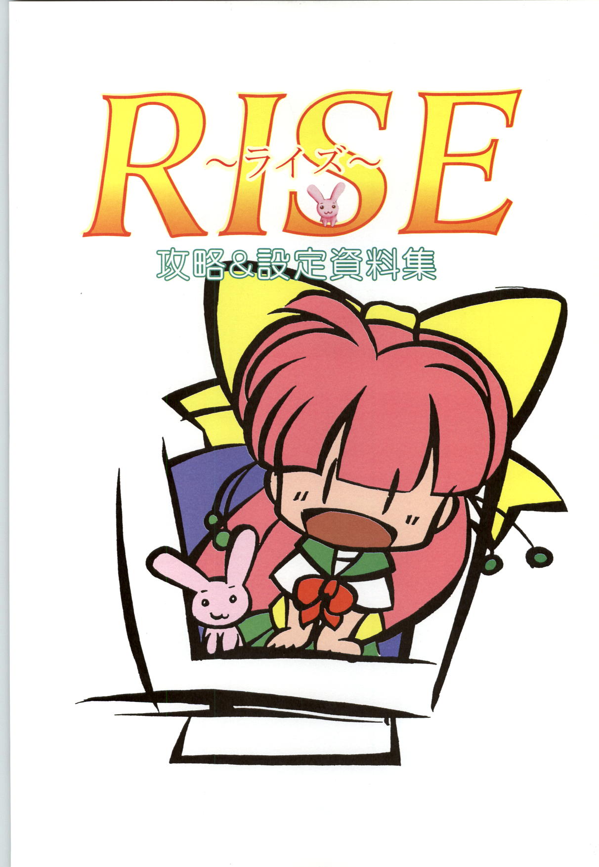 RISE Capture & Materials page 2 full