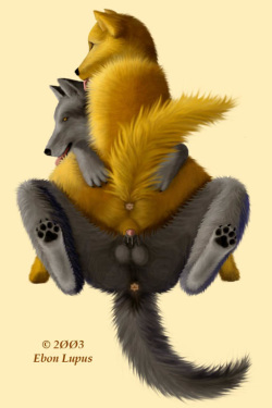 250px x 375px - Furry Anatomically Correct - IMHentai