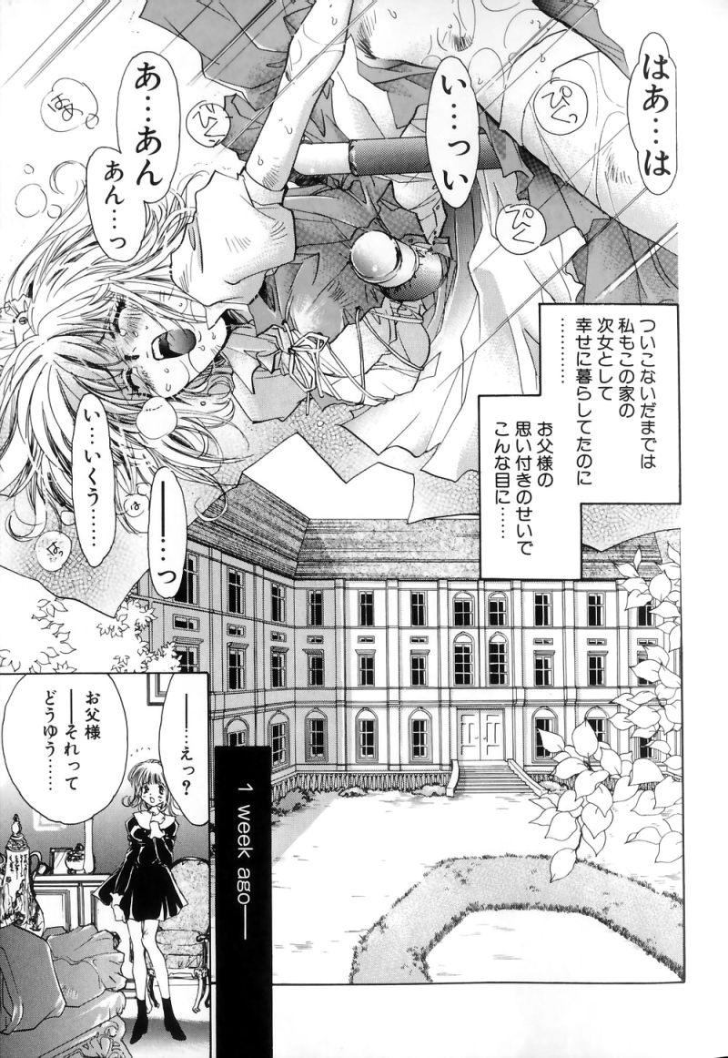 Celamic Garden page 7 full