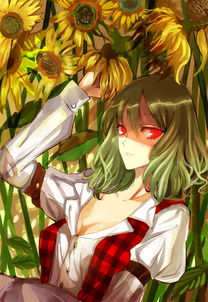 Kazami Yuuka page 7 full