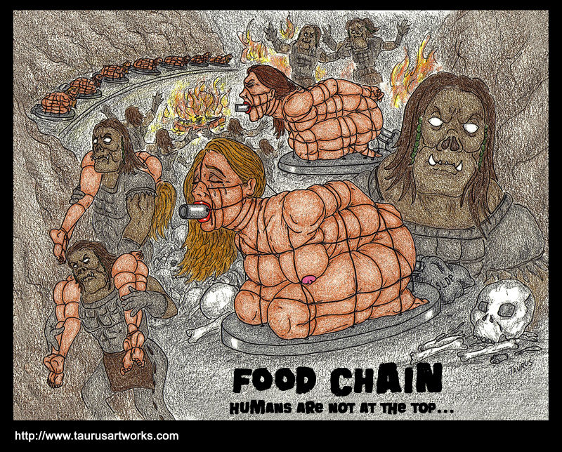 food chain page 1 full