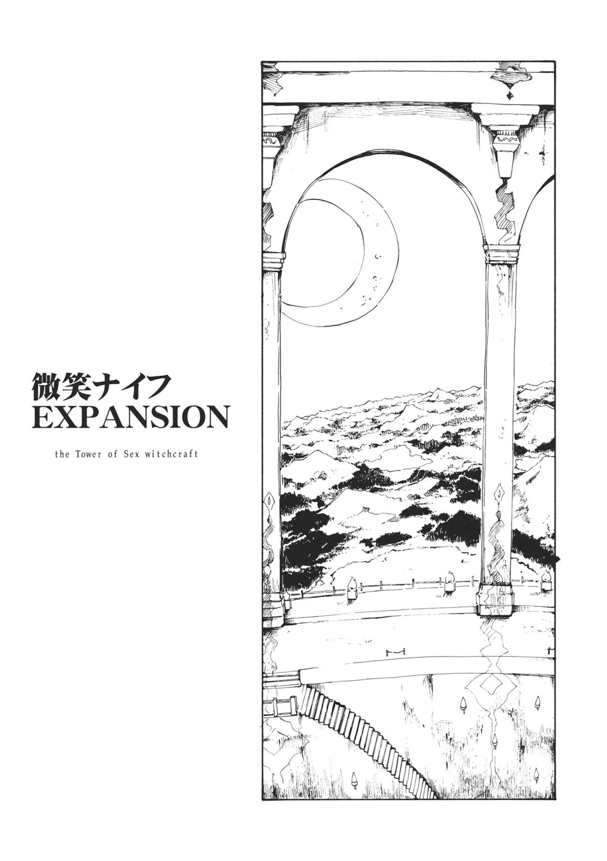 Touhou Ukiyo Emaki Bishou Knife EXPANSION page 3 full