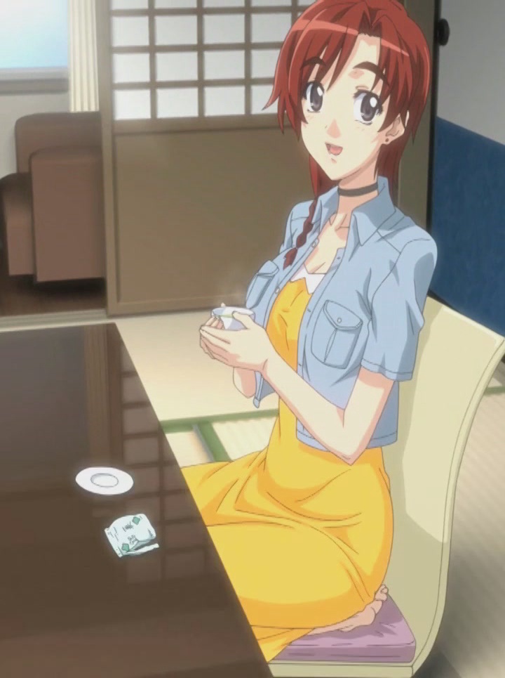 Akina to Onsen de H Shiyo panoramics page 1 full