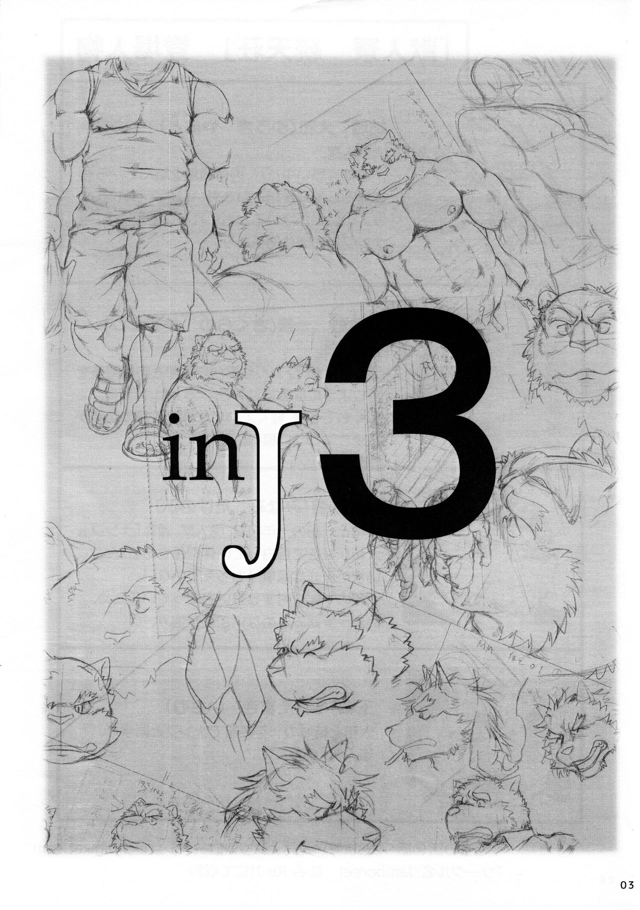 Inj 3 page 3 full