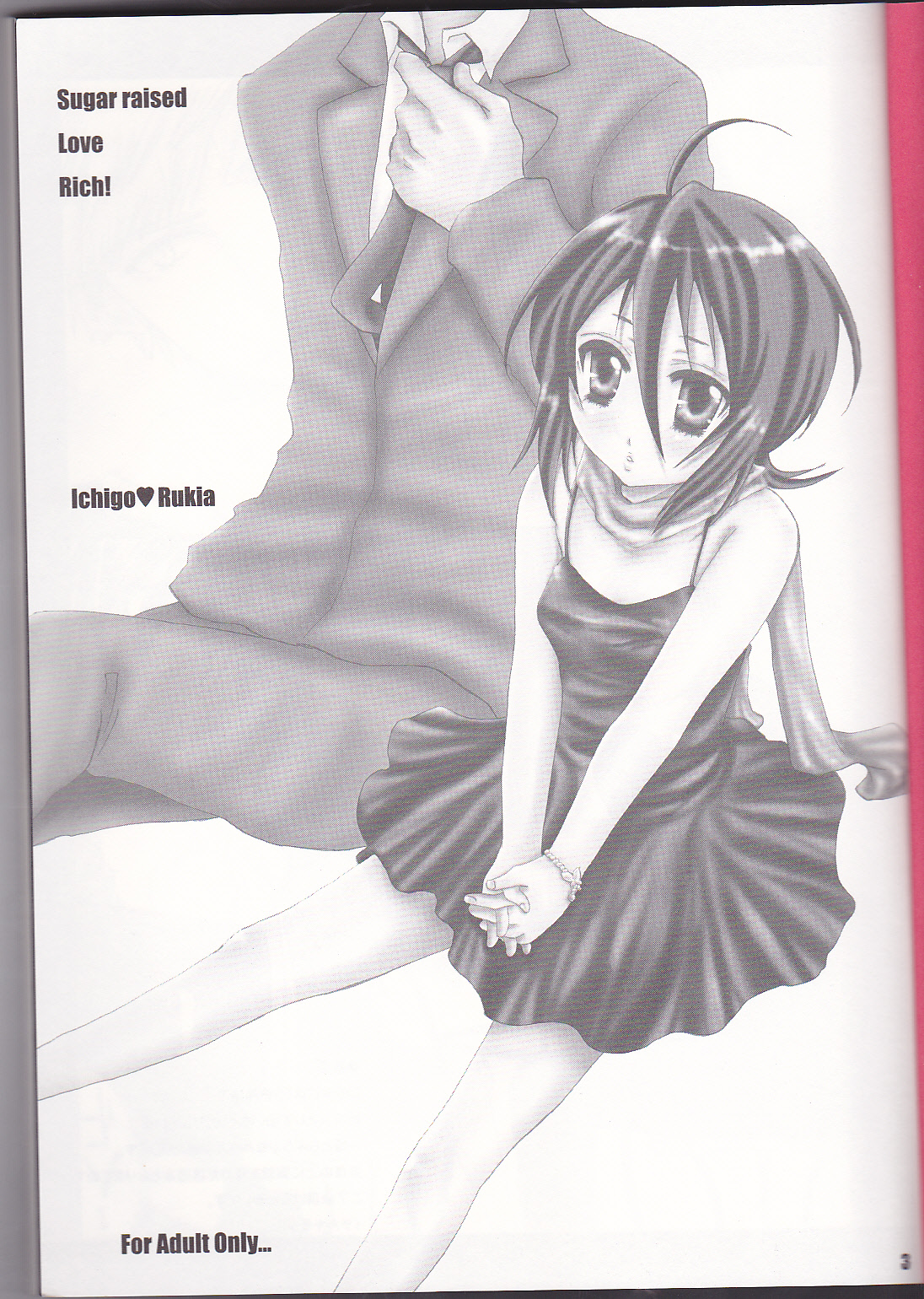 SLR page 4 full