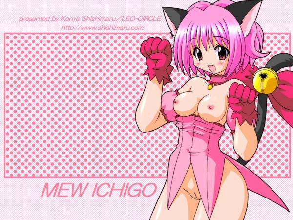 Tokyo mew mew page 2 full