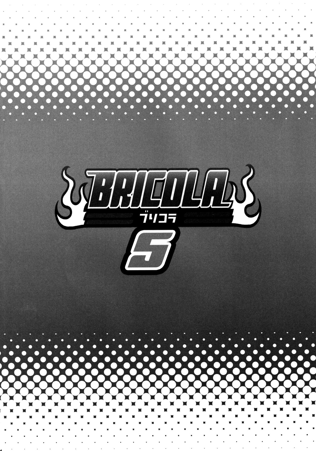 BRICOLA 5 page 3 full