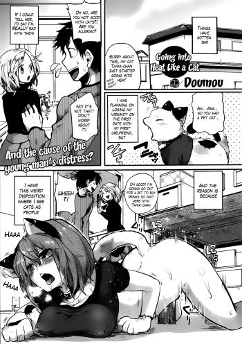 Nyanko na Hatsujouki | Going Into Heat Like a Cat - IMHentai