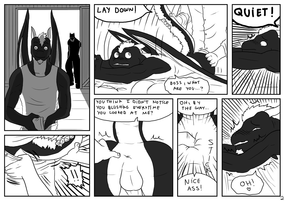 Stallion & Nite page 2 full
