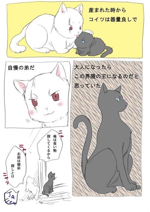 Nekotalia page 1 full