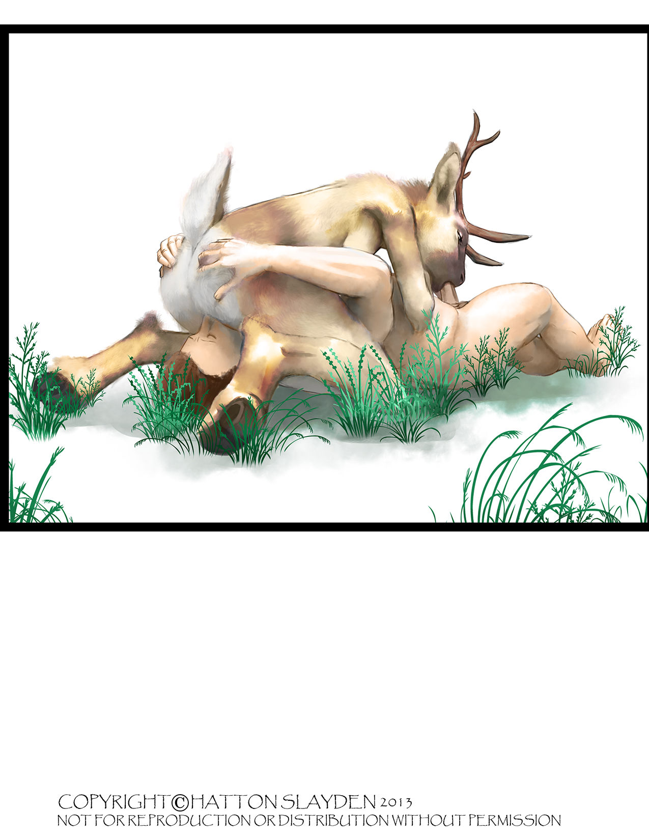 Hatton Slayden - Daily Doe page 7 full
