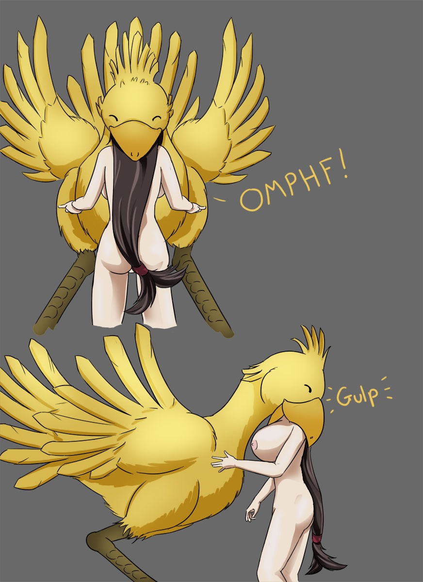 Chocobo Fantasy page 4 full