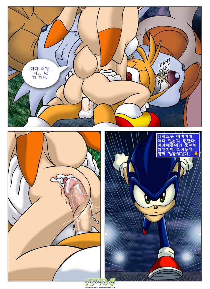 Sonic XXX Project page 10 full